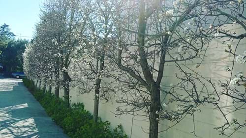 Care Taking Services